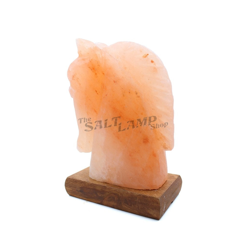Horse Salt Lamp (Timber Base) Crafted