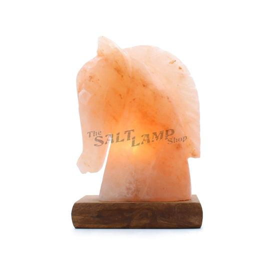 Horse Salt Lamp (Timber Base) Crafted