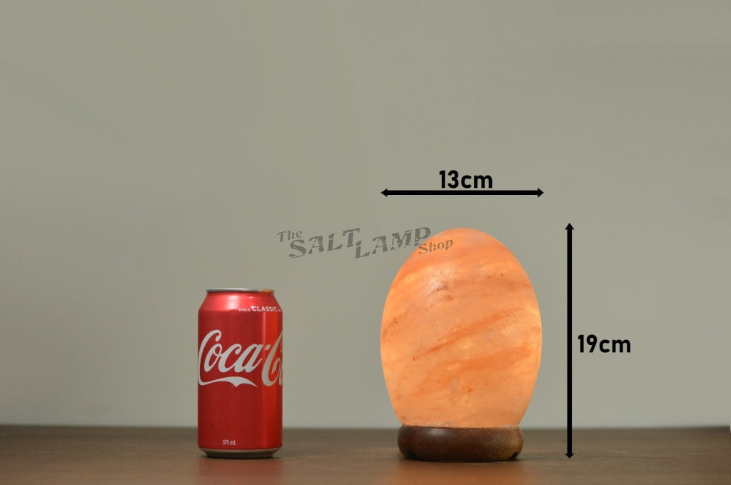 Egg Salt Lamp (Timber Base) Crafted