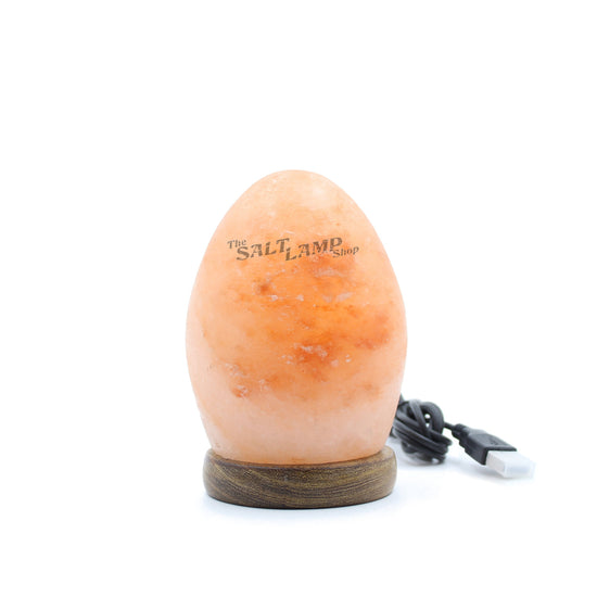 Load image into Gallery viewer, Egg USB Salt Lamp- Auto Colour Changing LED  (Timber Base)
