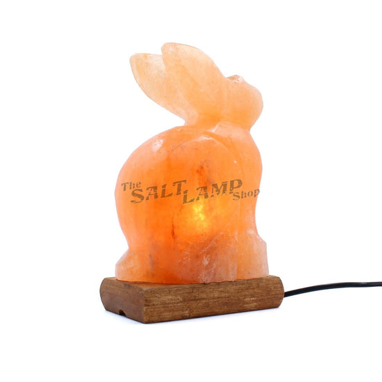 Rabbit Salt Lamp (Timber Base) Crafted