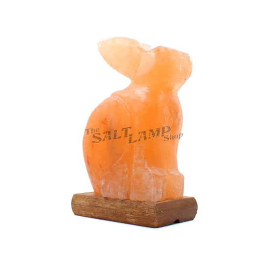 Rabbit Salt Lamp (Timber Base) Crafted
