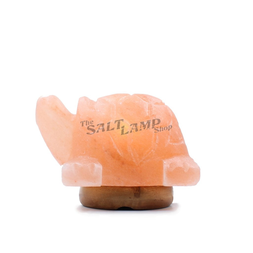 Load image into Gallery viewer, Turtle Salt Lamp (Timber Base) Crafted
