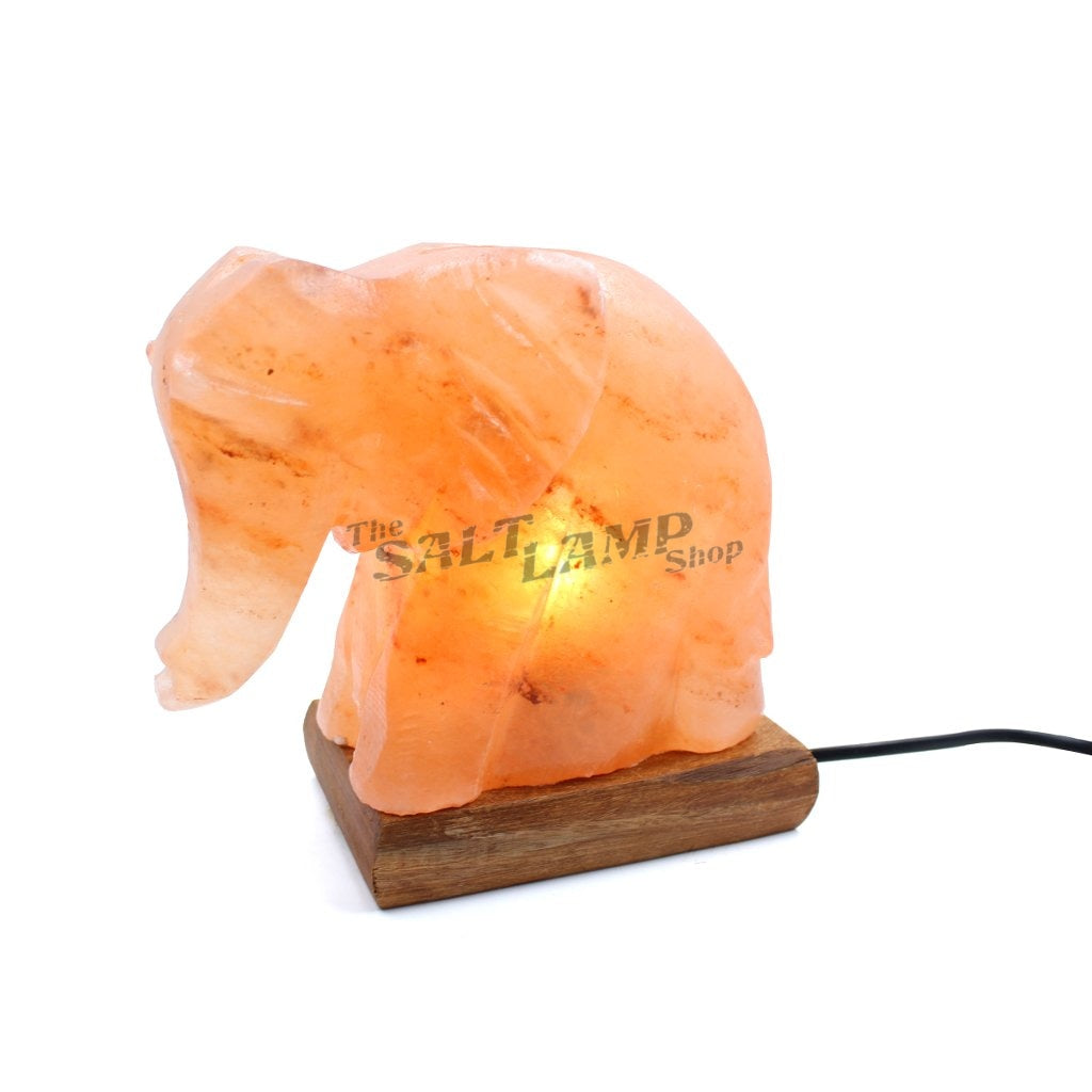 Elephant Salt Lamp Crafted