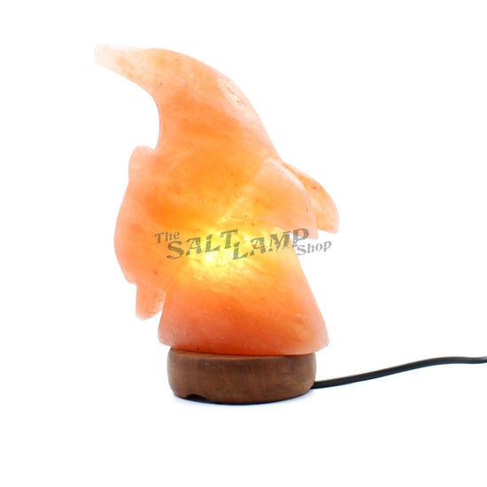 Diving Dolphin Salt Lamp (Timber Base) Crafted