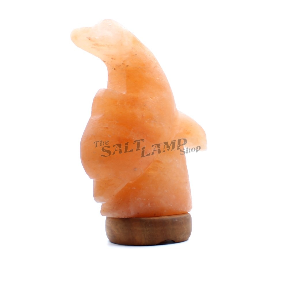Diving Dolphin Salt Lamp (Timber Base) Crafted