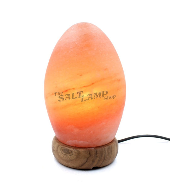 Egg Salt Lamp (Timber Base) Crafted