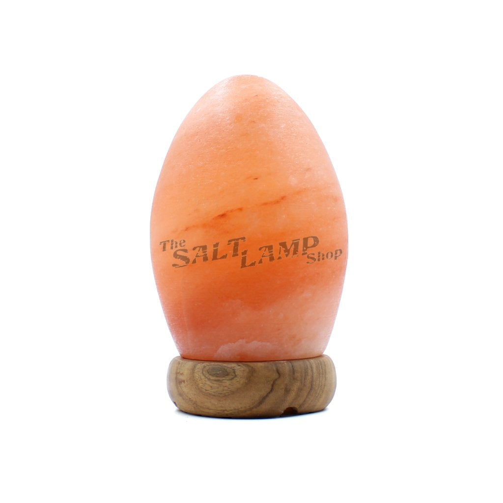 Egg Salt Lamp (Timber Base) Crafted