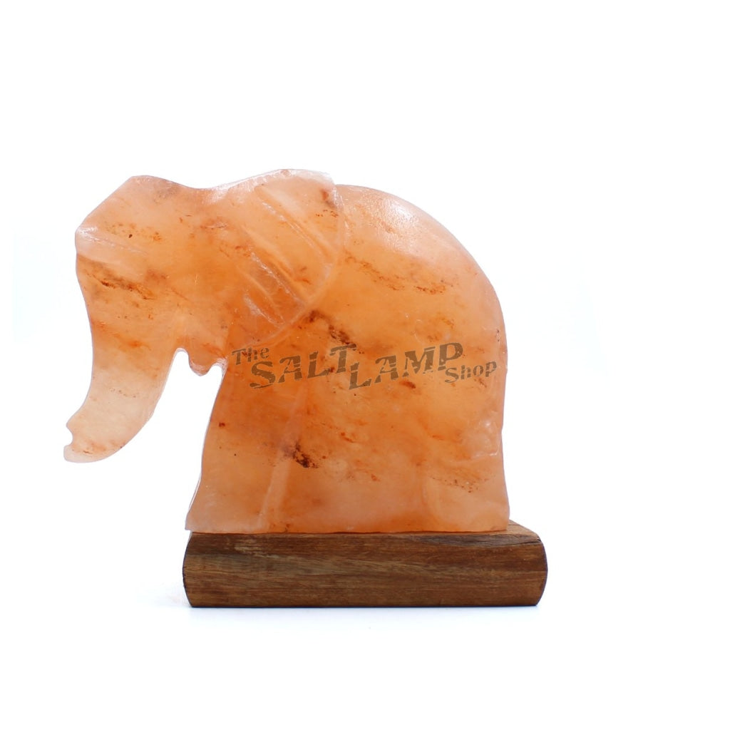 Elephant Salt Lamp Crafted
