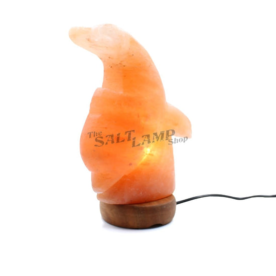 Diving Dolphin Salt Lamp (Timber Base) Crafted